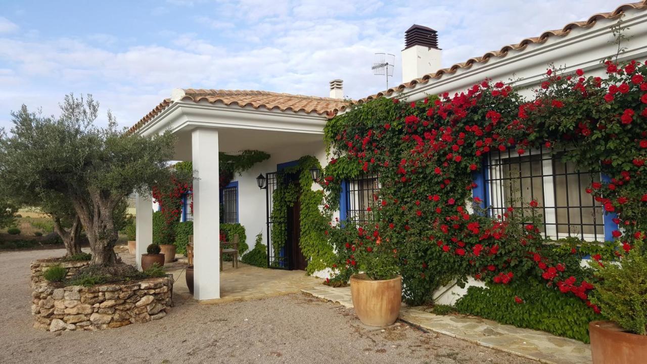 Finca El Romeral Alpera Exterior foto