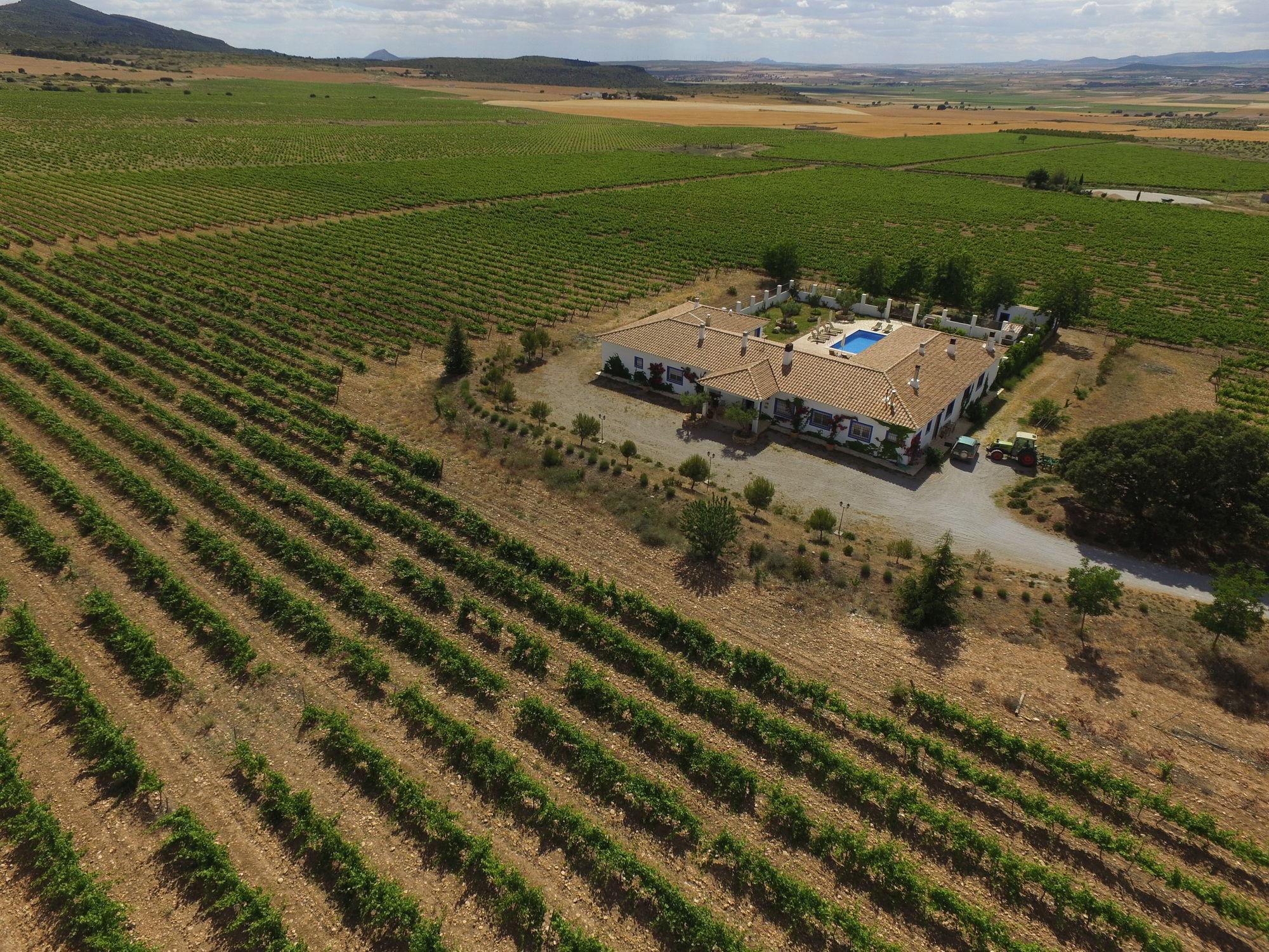 Finca El Romeral Alpera Exterior foto
